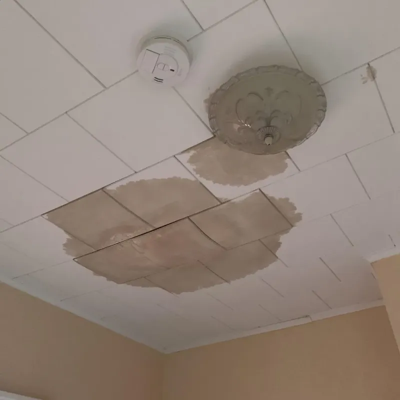 Ceiling Water Damage Repair in North Kansas City, MO