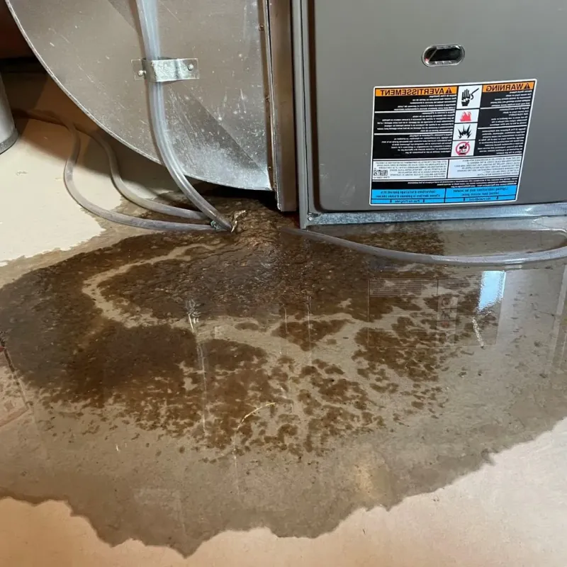 Pipe Burst and Leak Restoration in North Kansas City, MO